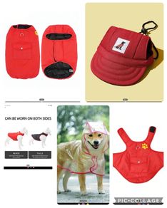 Dog clothes. Jacket, hat, raincoat