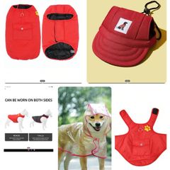 Dog clothes. Jacket, hat, raincoat