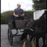 Horse Cart Image 3