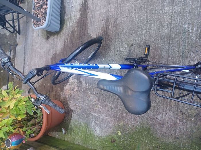 Mens Trekking bike