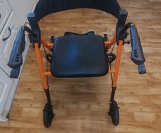 mobility walker