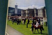 The horse in Ireland