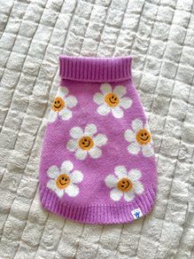 dog accessories + clothes