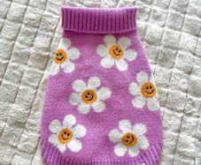 dog accessories + clothes