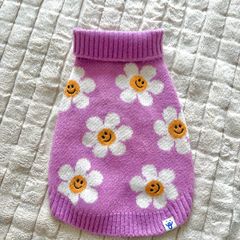 dog accessories + clothes