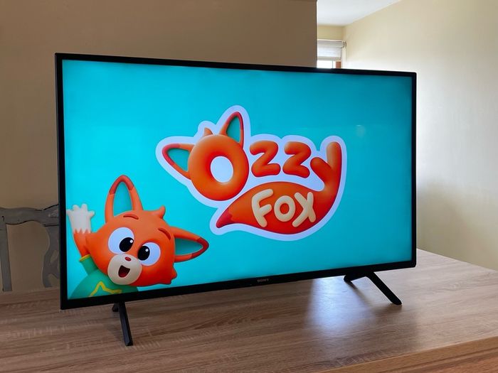 Sony Bravia 43 inch TV