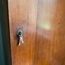 Single Door Antique Wardrobe Image 2