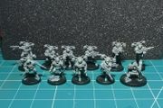 Warhammer 40k Kill Team Tempestus Aquilons