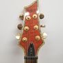 Schecter Diamond Series C-1 Elite Image 5