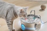 Cat Water Fountain for Drinking: Stainless Steel Cat Fountain - 2.2L Water Fountain Cat Bowl - Pet Water Fountain - Cat Drinking Fountain - Visible Water Level Cat Water Dispensers