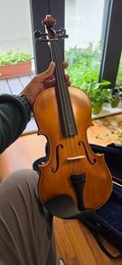violin