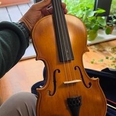 violin