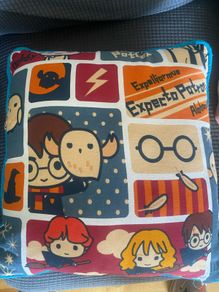 Harry Potter Cushion