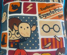 Harry Potter Cushion