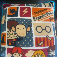 Harry Potter Cushion