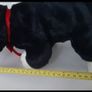 New collectable beanie buddies cat Image 6
