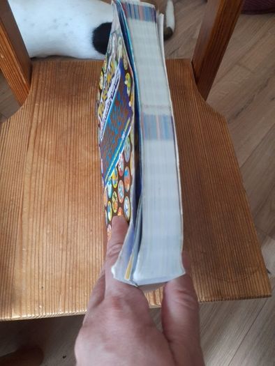 Pokemon Deluxe Essential Handbook