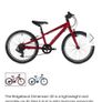 bike Image 3
