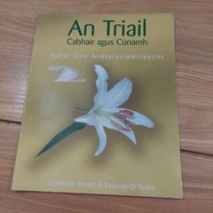 An triail