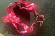 Selection New Collar , Harness, Lead