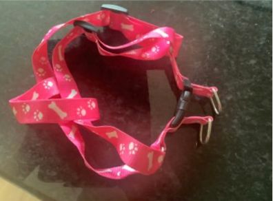 Selection New Collar , Harness, Lead