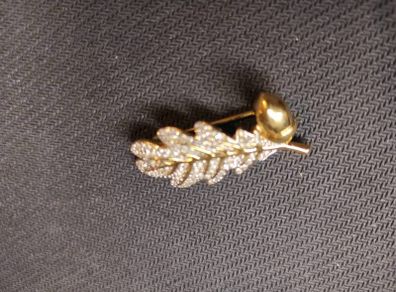 Swarovski brooch
