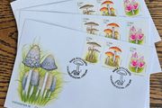 Ireland 2008 Mushrooms FDC First Day Covers x4
