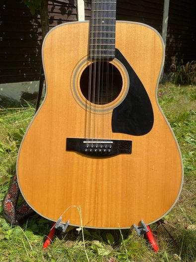 12-String Acoustic Electric Guitar (Yamaha FG420E-12)