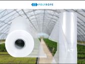 Polytunnel Clear Plastic Polythene Uv10 Greenhouse 10 meters 32ft by 10 meters 32 ft