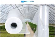 Polytunnel Clear Plastic Polythene Uv10 Greenhouse 10 meters 32ft by 10 meters 32 ft