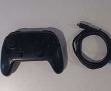 Original Nintendo Switch Pro Controller