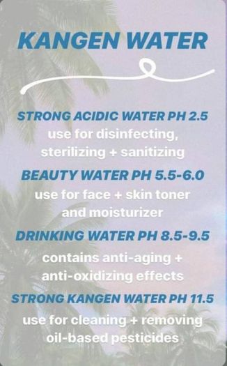 Kangen Water machine