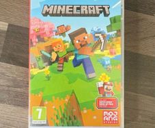 Minecraft Nintendo Switch