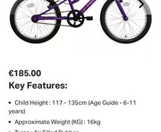 Apollo junior envy hybrid purple bike