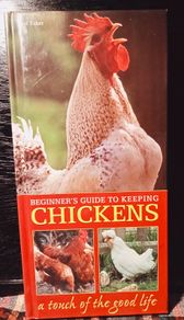 2010. Lee Faber  Beginner's Guide To Keeping Chickens