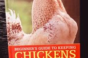 2010. Lee Faber  Beginner's Guide To Keeping Chickens
