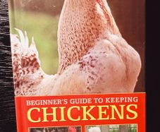 2010. Lee Faber  Beginner's Guide To Keeping Chickens
