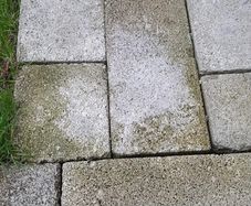 Concrete blocks