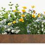 Garden Accessories Image 4