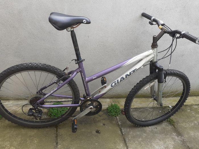Giant Rock Aluxx 6000 Girl's Bike