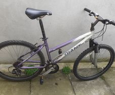 Giant Rock Aluxx 6000 Girl's Bike