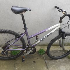 Giant Rock Aluxx 6000 Girl's Bike