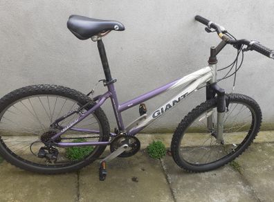 Giant Rock Aluxx 6000 Girl's Bike