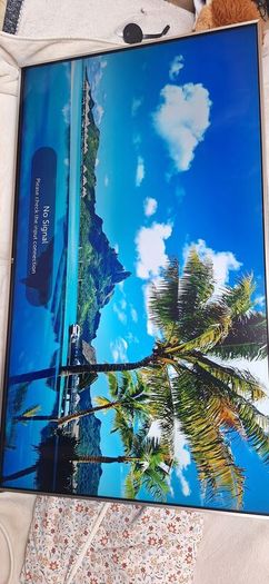 Lg 49" Smart Tv