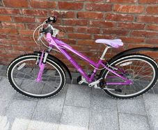 Cuda 24" Bike