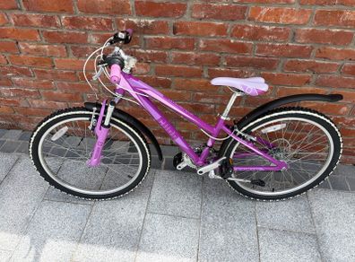 Cuda 24" Bike