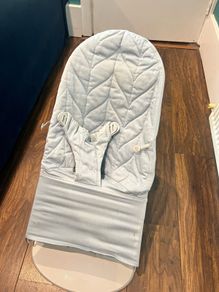 baby bjorn bouncer