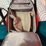 Canon EOS 250D 18-55 with accessories + bags Image 5