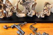 Antique Shotgun Reloading Tools