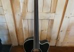 Acoustic Bass with strings
